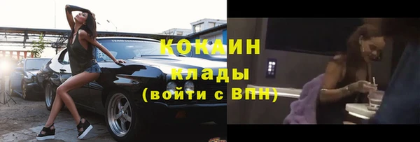 сатива Белокуриха