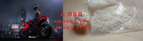 сатива Белокуриха