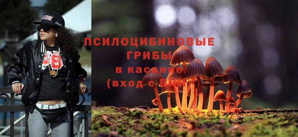 ешки Белоозёрский
